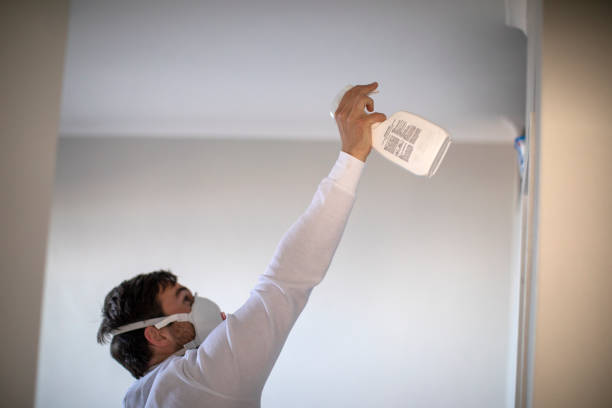 Best Affordable Mold Removal  in Muskegon Heights, MI