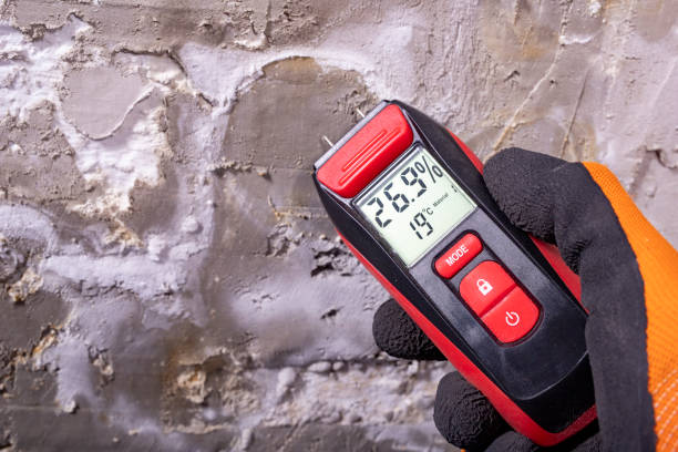 Best Mold Remediation  in Muskegon Heights, MI