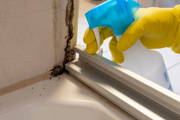 Best Mold Testing  in Muskegon Heights, MI