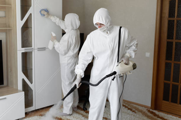 Mold Removal and Inspection in Muskegon Heights, MI