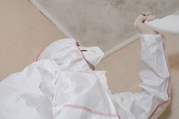 Best Best Mold Removal Companies  in Muskegon Heights, MI