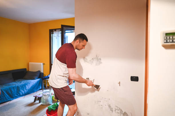 Best Attic Mold Removal  in Muskegon Heights, MI